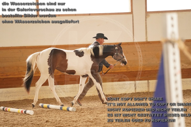 s_A_901313.JPG